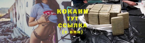 СК Алексин