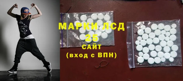 СК Алексин