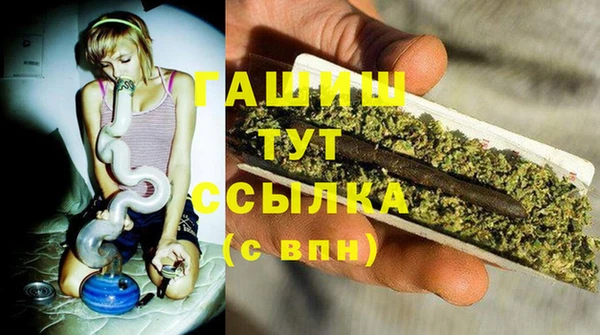 СК Алексин