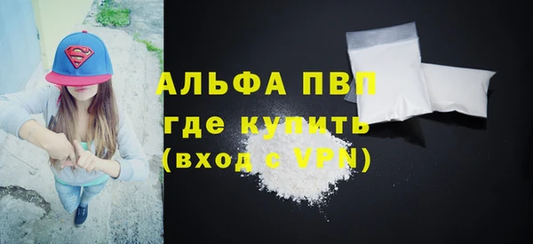 СК Алексин