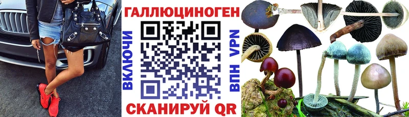 Псилоцибиновые грибы ЛСД  Перевоз 
